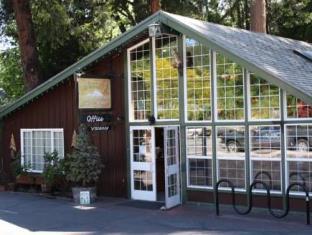 Mount Shasta (CA) United States Hotels