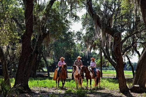 Lake Wales (Florida) United States Promo Code Booking.com