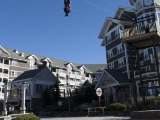 Snowshoe (WV) United States Hotels