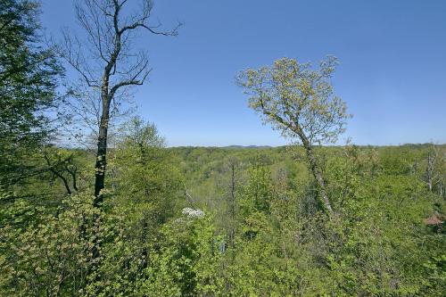 Gatlinburg (TN) United States Promo Code Agoda.com