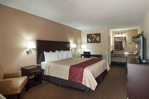 Springfield (Illinois) Estados Unidos codigo de promocion booking.com