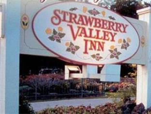 Mount Shasta (CA) United States Hotels
