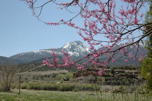 Cortez (Colorado) United States Promo Code Booking.com