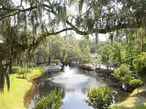 Hilton Head Island South Carolina Vereinigten Staaten Promo-Code Booking.com