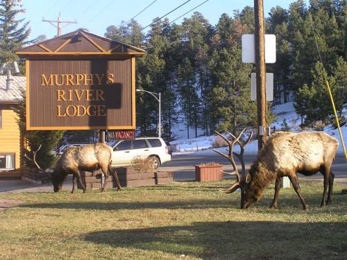 Estes Park (Colorado) Estados Unidos codigo de promocion booking.com