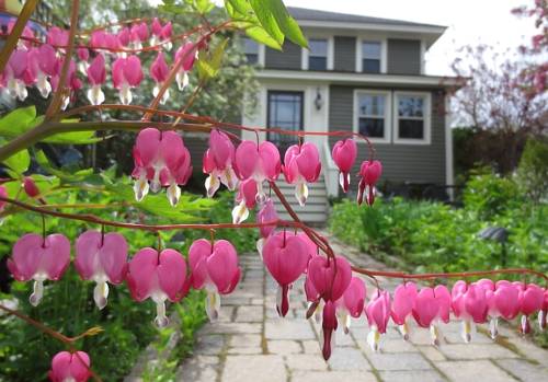 Ogunquit Maine Vereinigten Staaten Promo-Code Booking.com