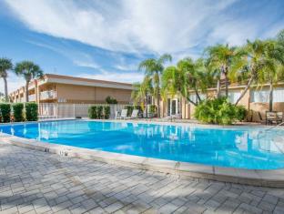 Tampa (FL) United States Hotels