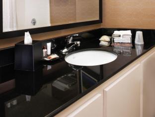 Chicago (IL) United States Hotels