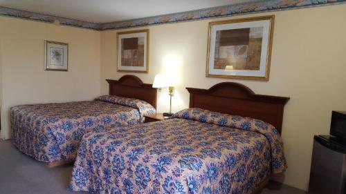 Hamel United States Promo Code Agoda.com