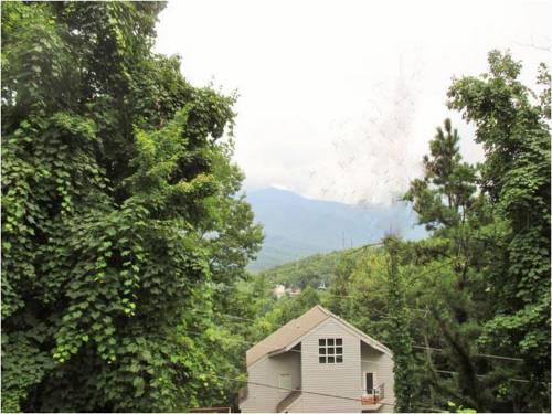 Gatlinburg (Tennessee) Estados Unidos código de promoción de hotel booking.com
