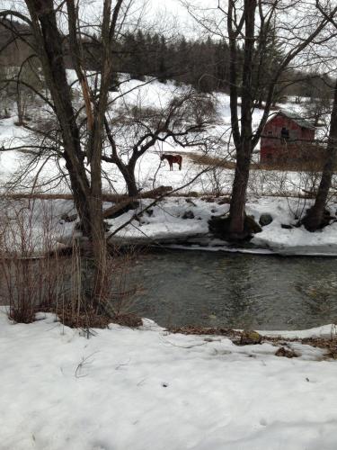 Sandgate (VT) United States Promo Code Agoda.com