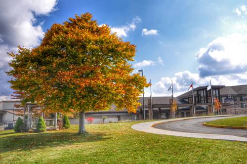 Davis West Virginia Vereinigten Staaten Promo-Code Booking.com