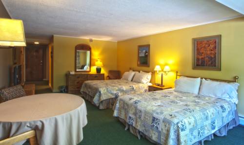 Stowe (Vermont) Estados Unidos código de promoción de hotel booking.com