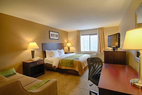 Plano (Texas) United States Promo Code Booking.com