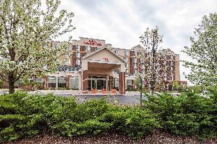 Chicago (IL) United States Hotels