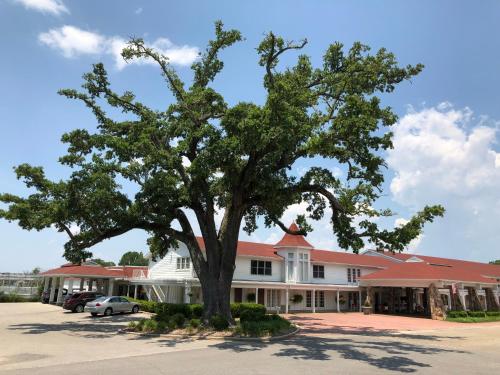 Ocean Springs (MS) United States Promo Code Agoda.com