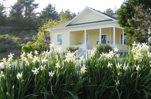 Cambria (CA) United States Promo Code Agoda.com