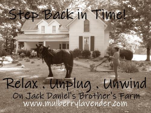Mulberry (TN) United States Promo Code Agoda.com