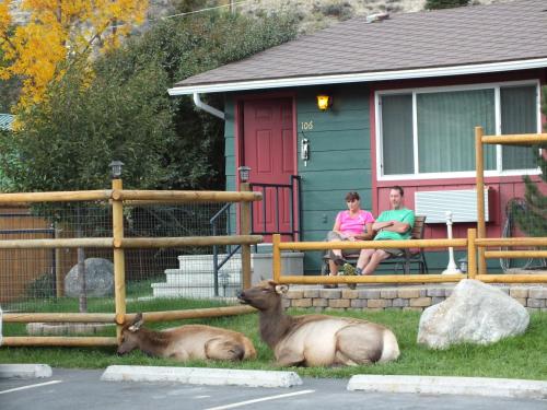 Gardiner (MT) United States Promo Code Agoda.com