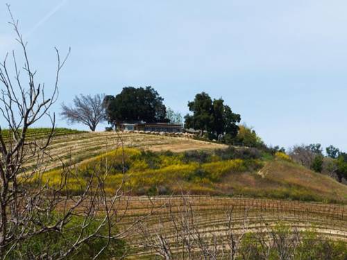 Paso Robles (California) Estados Unidos codigo de promocion booking.com