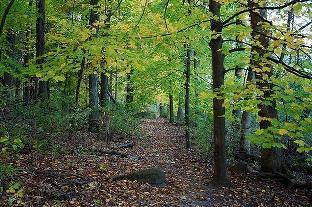 Madison (WI) United States Promo Code Agoda.com