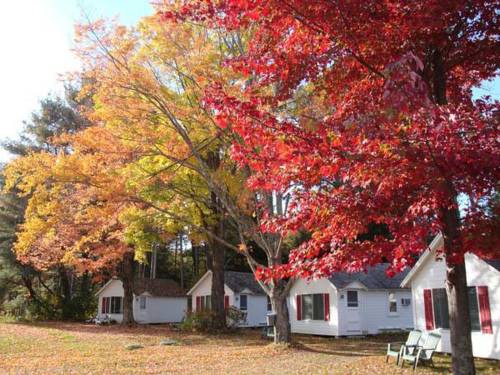 Brandon (Vermont) United States Hotel