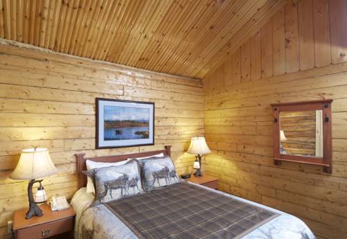 Denali (Alaska) United States Hotel