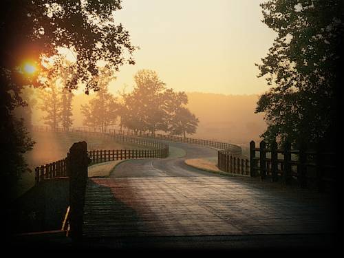 Sylacauga (Alabama) United States Promo Code Booking.com