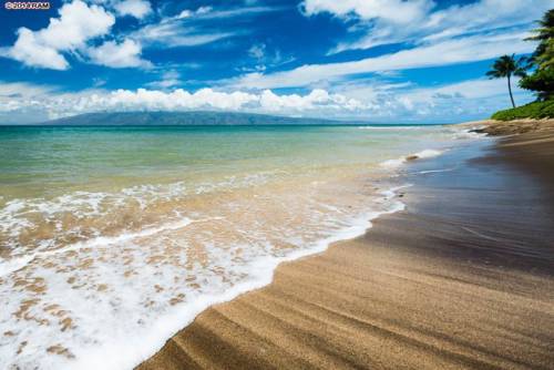 Lahaina (Hawaii) United States Hotel