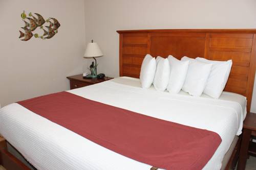 Port Aransas (Texas) Estados Unidos c&oacute;digo de promoci&oacute;n de hotel booking.com