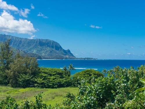 Princeville (Hawái) Estados Unidos codigo de promocion booking.com