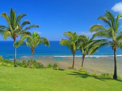Princeville Hawaii Vereinigten Staaten Promo-Code Booking.com