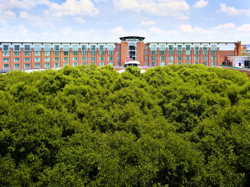 Chattanooga (Tennessee) United States Promo Code Booking.com