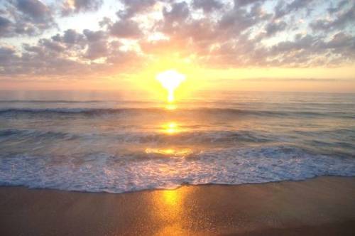 Palm Coast Florida Vereinigten Staaten Promo-Code Booking.com