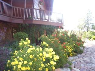 Pagosa Springs (CO) United States Promo Code Agoda.com