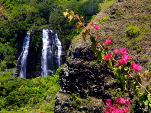 Kapaa (Hawaï) Verenigde Staten promotiecode Booking.com