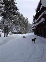 Truckee (Californië) Verenigde Staten promotiecode Booking.com
