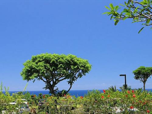 Princeville (Hawaï) Verenigde Staten promotiecode Booking.com